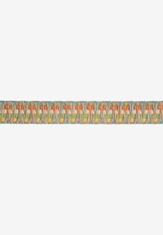 Cassandra Belt in Mixed colors