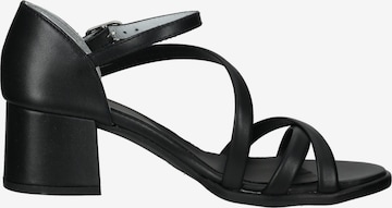 Nero Giardini Strap Sandals in Black