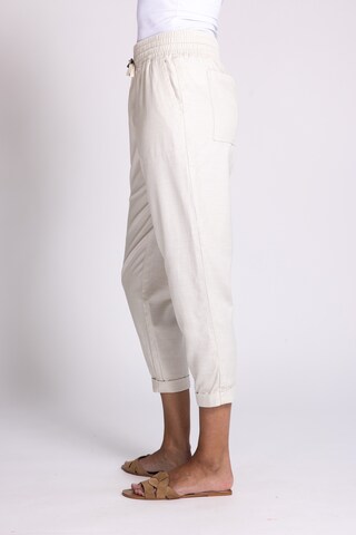 Zhrill Regular Pants in Grey