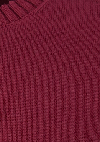 s.Oliver Men Big Sizes Pullover in Rot: Vorderseite