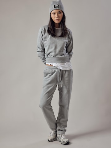 regular Pantaloni 'Felpati Dritti' di OWN Off With Nature in grigio