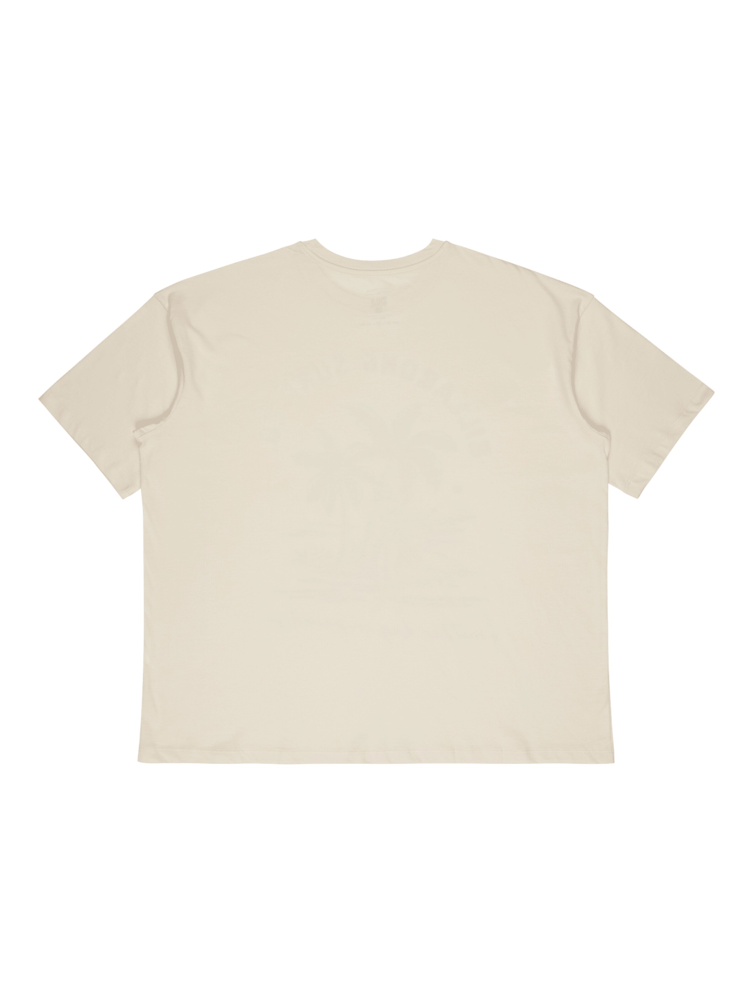 T-shirt 'This Is Tropica' BILLABONG en blanc