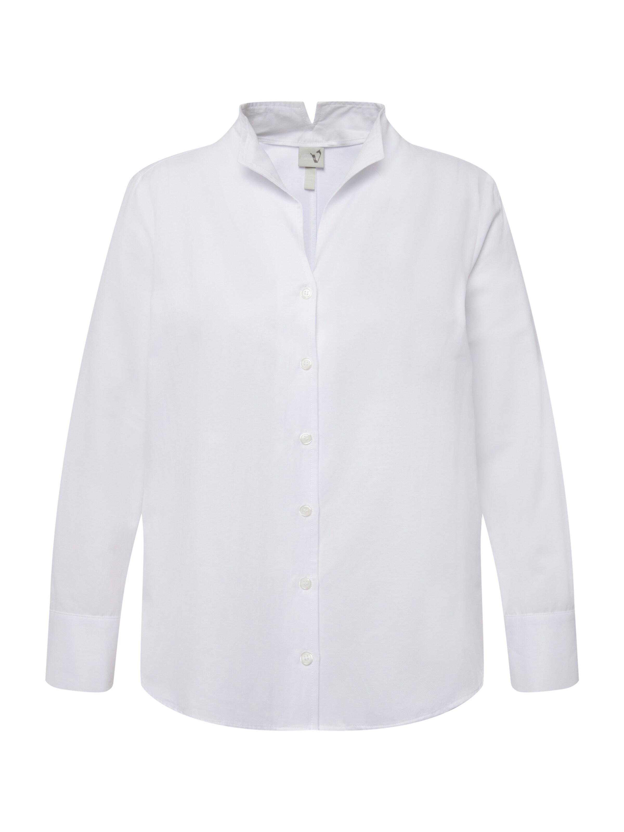 Ulla Popken Bluse in Weiß: Vorderseite