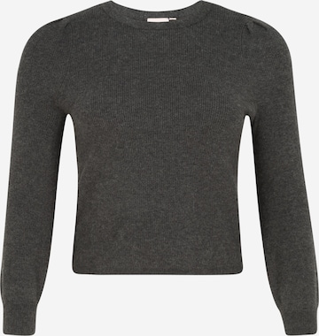 ONLY Carmakoma Pullover 'KARIA' in Grau: front