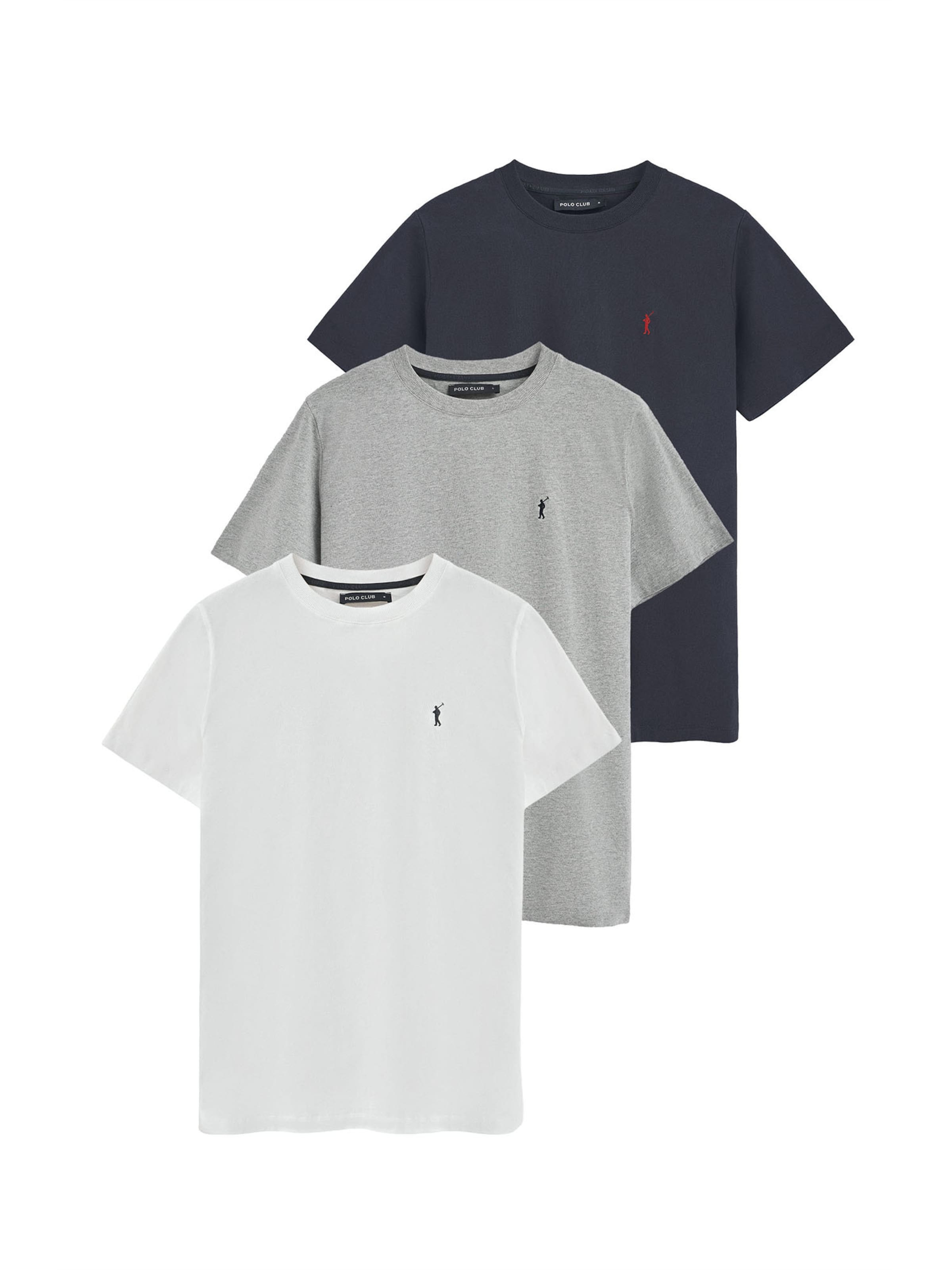 Polo Club T-Shirt in Grau: Vorderseite