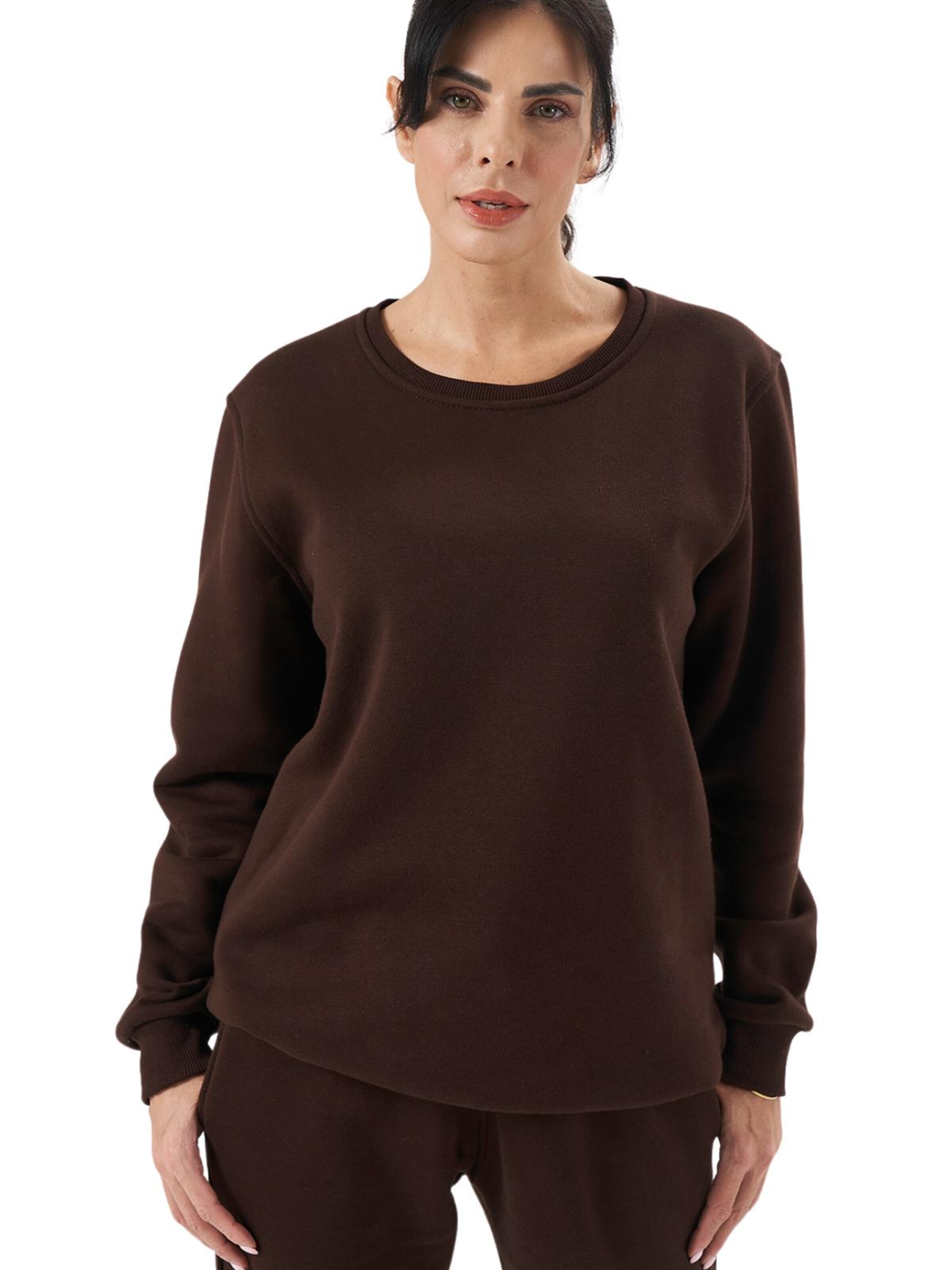 LOUIS LECLER Sweatshirt 'Avery' in Bruin