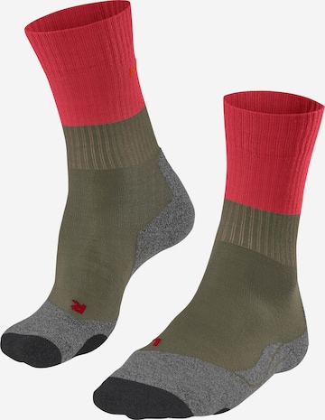 FALKE Athletic Socks 'TK2' in Mixed colors: front