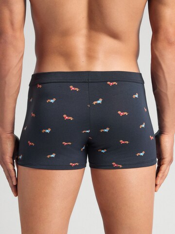 IUMAN Boxershorts in Blau