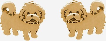 Gemshine Earrings in Gold: front