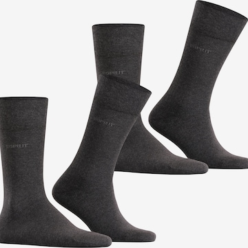 ESPRIT Socks 'Basic Easy 2-Pack' in Grey: front