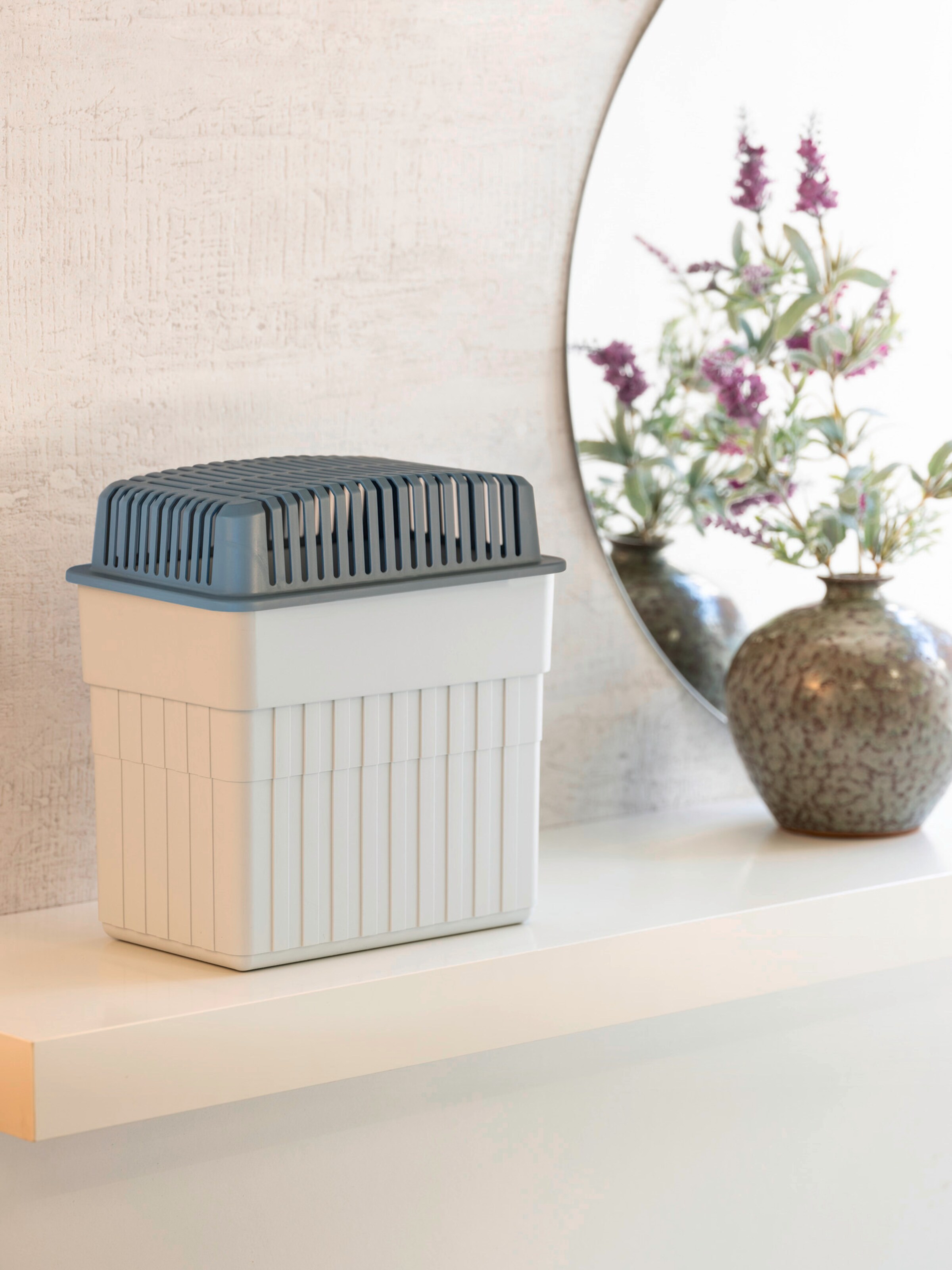 Wenko Raumentfeuchter in Grau