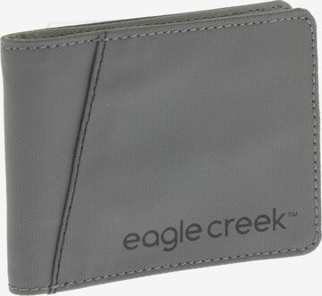 EAGLE CREEK Small Leather Goods in One size in Grey: front
