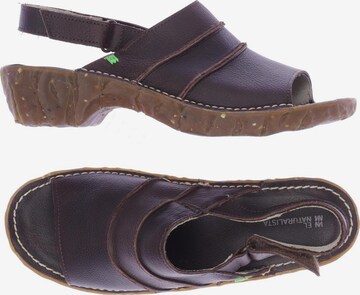 EL NATURALISTA Sandals & High-Heeled Sandals in 39 in Brown: front