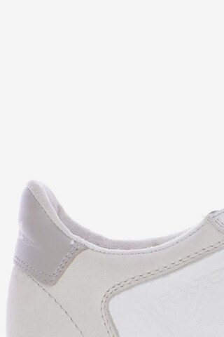 LLOYD Sneaker 39 in Weiß