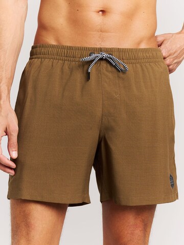 PROTEST Badeshorts 'Davey' in Braun