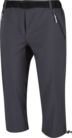REGATTA Regular Outdoor Pants 'Xert' in Grey