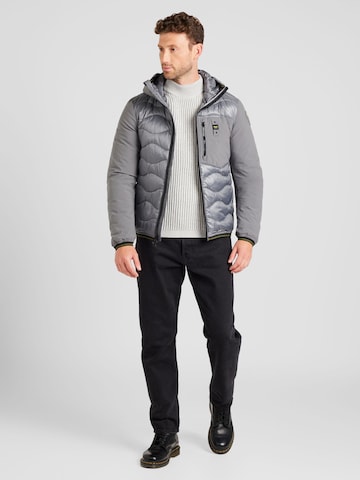 Blauer.USA Зимно яке в сиво