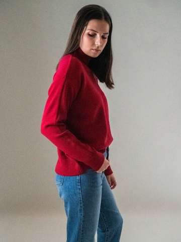 WEARABLE STORIES Pullover 'Riske' in Rot