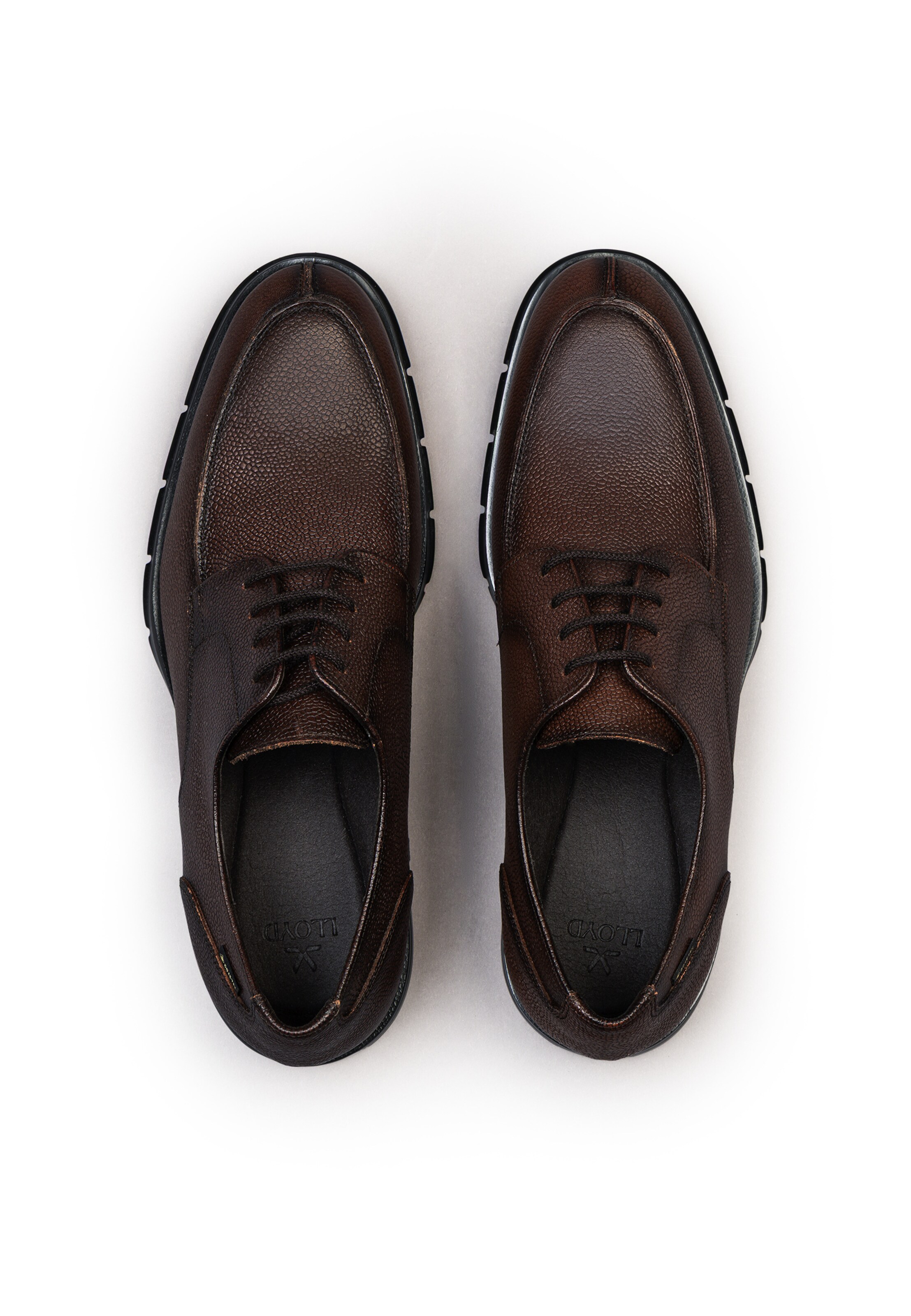 Scarpa stringata di LLOYD in marrone