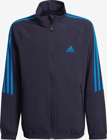 mėlyna ADIDAS SPORTSWEAR Treniruočių kostiumas