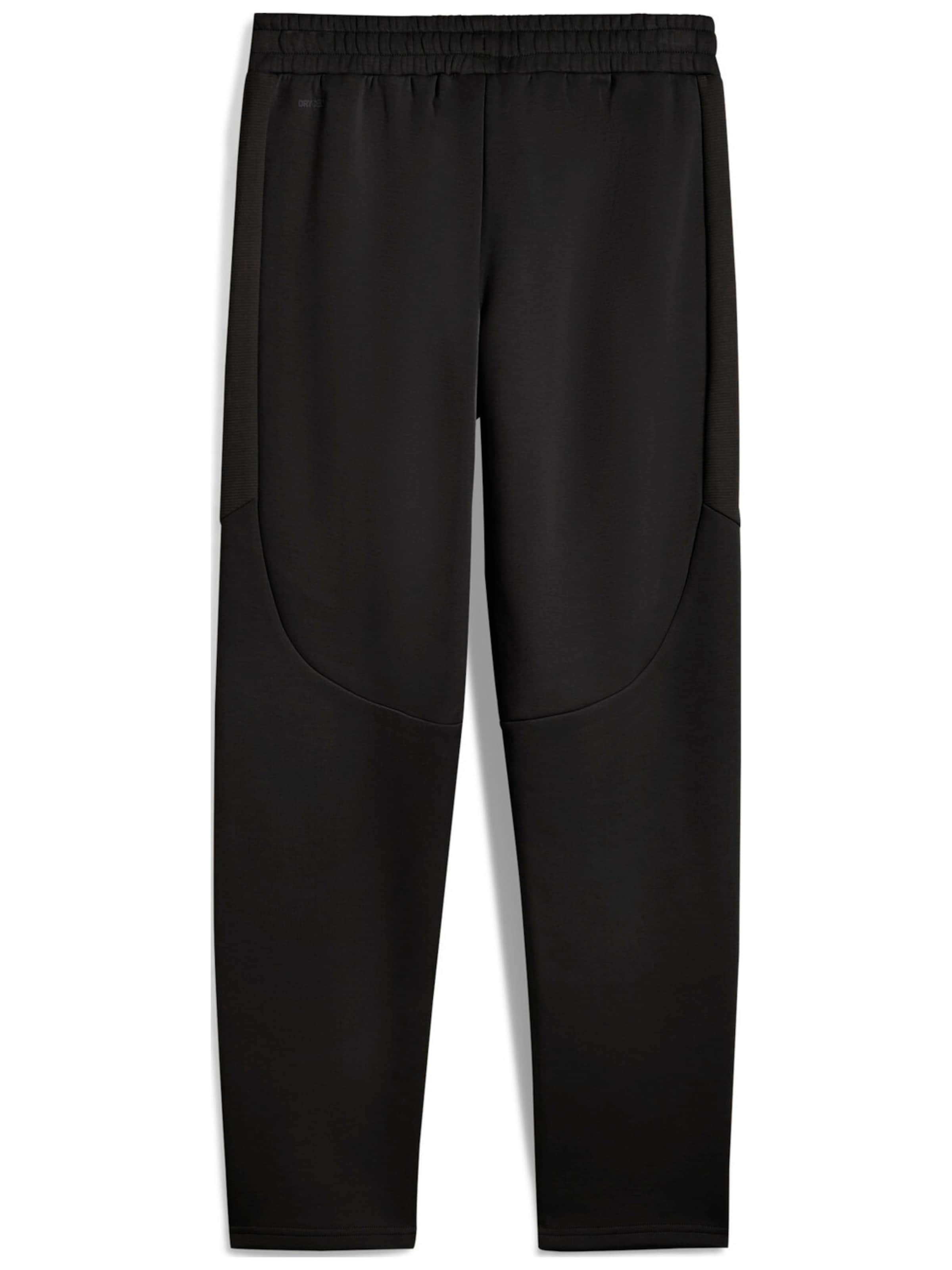 PUMA Regular Sports trousers 'Puma Evostripe Pants Dk' in Black