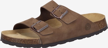 DR. BRINKMANN Pantolette 'BONILLO' in Braun: Vorderseite