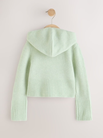 Next Gebreid vest in Groen
