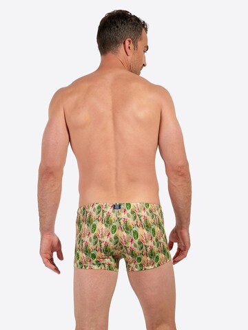 Shorts de bain ' Swim Shorts Taormina ' HOM en vert