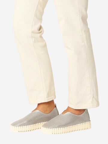 Chaussure basse 'Tulip3275' ILSE JACOBSEN en gris