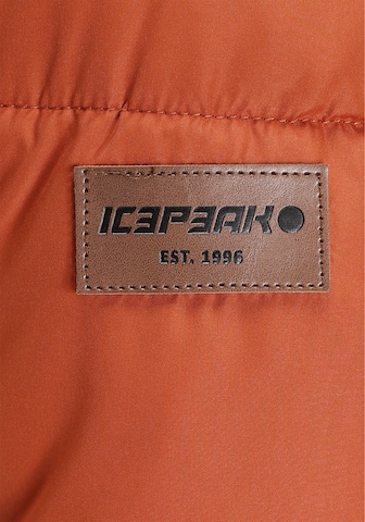 ICEPEAK Winter Coat 'PAIVA' in Orange