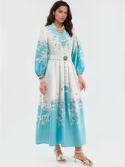 Abito in 36 MSN Collection di colore blu / bianco, Visualizzazione prodotti