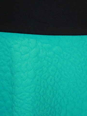 dunkle design Skirt in Blue