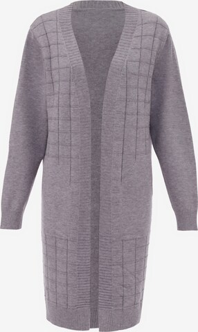 Sidona Knit Cardigan in Grey: front