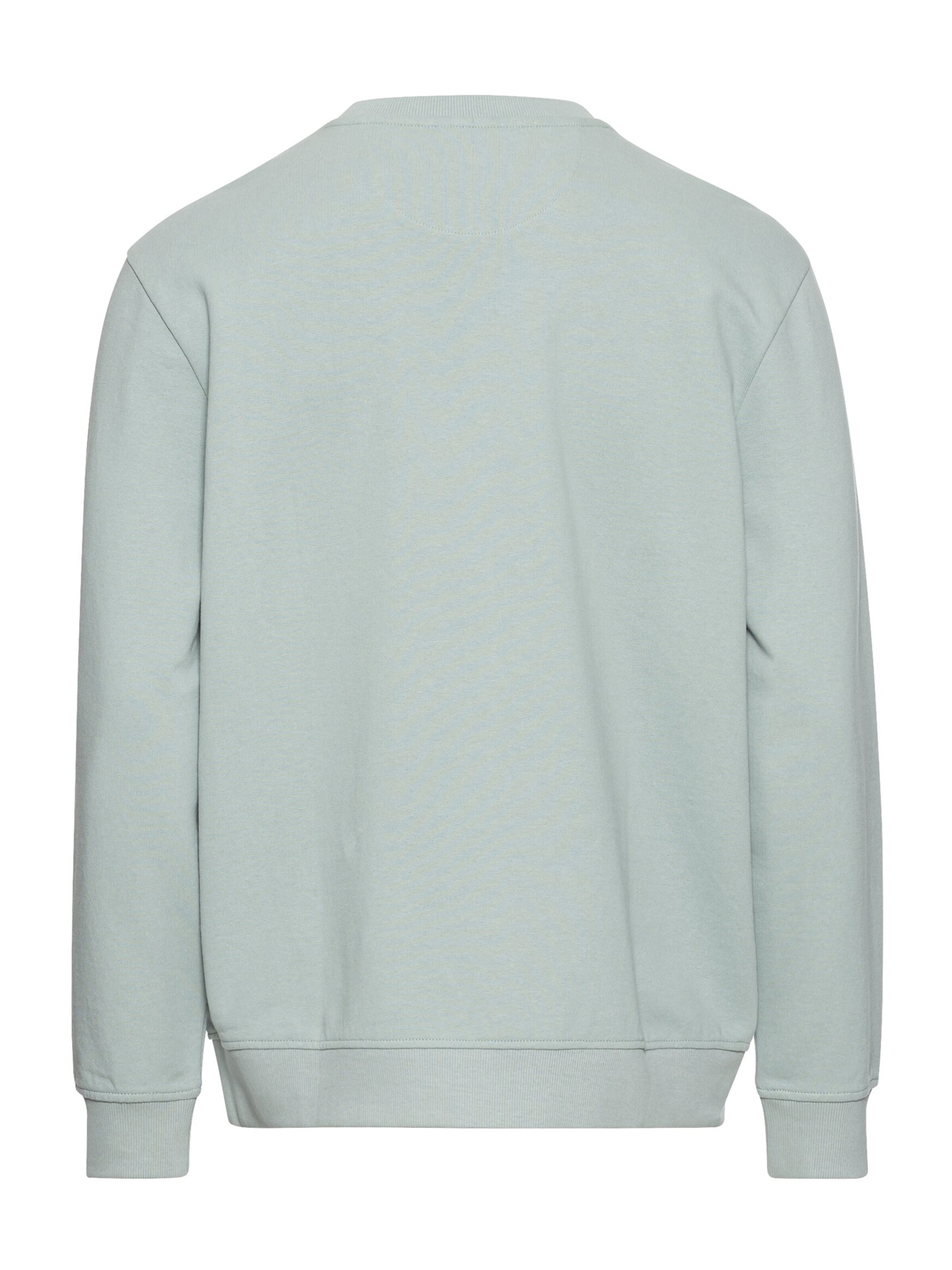 CAMEL ACTIVE Sweatshirt in Grün