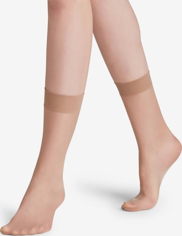 FALKE Socken 'Seidenglatt' in Beige: Vorderseite