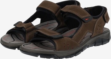 IMAC Hiking Sandals in Brown