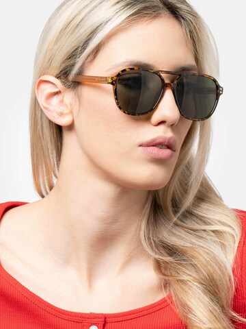 Herling Sunglasses 'Thorne Sun' in Brown