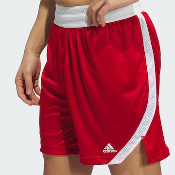 ADIDAS SPORTSWEAR Regular Sportbroek 'Icon Squad' in Rood