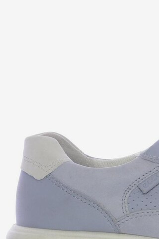 ECCO Sneaker 40 in Blau