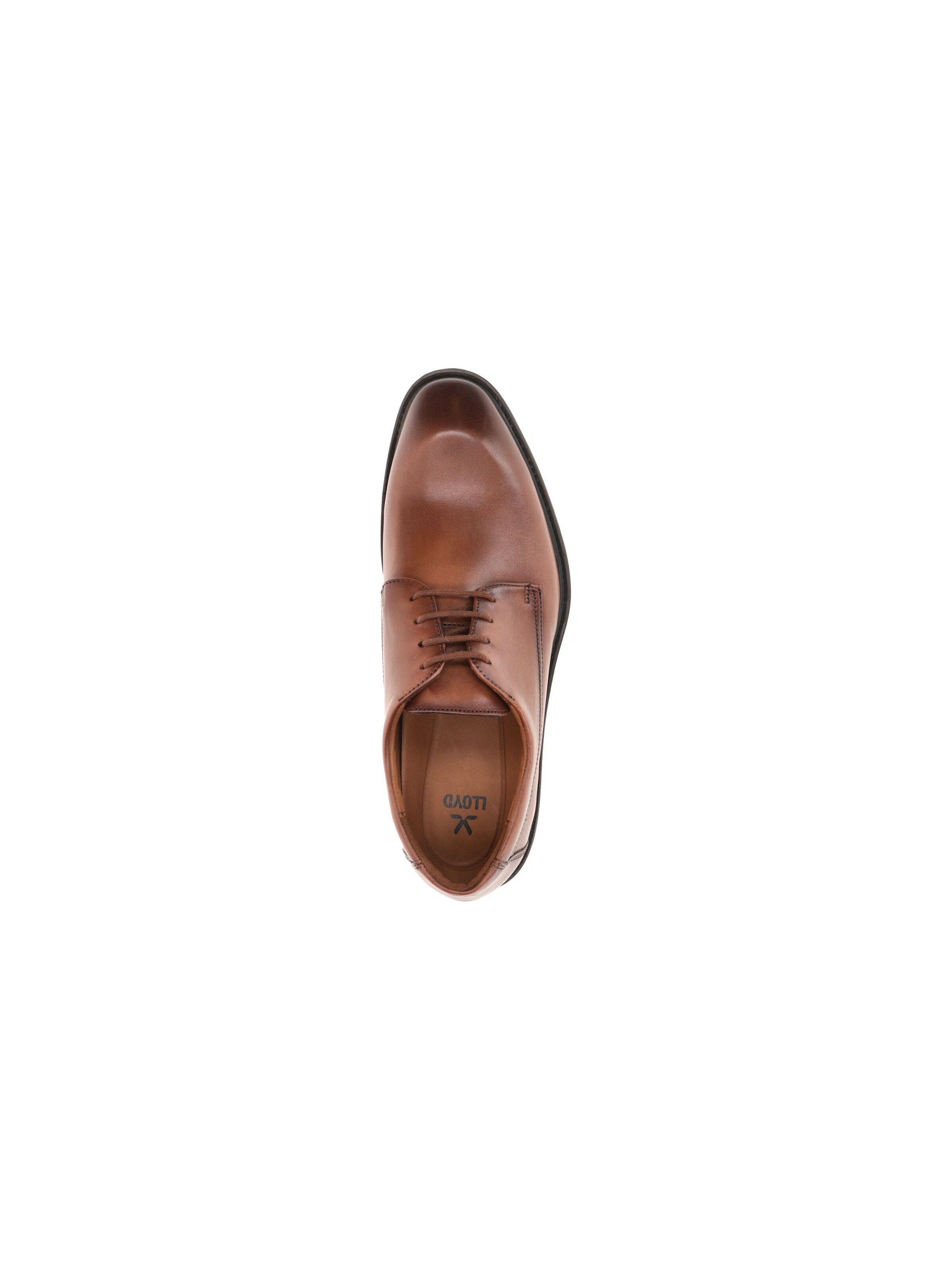 LLOYD Lace-Up Shoes 'X-Motion' in Brown