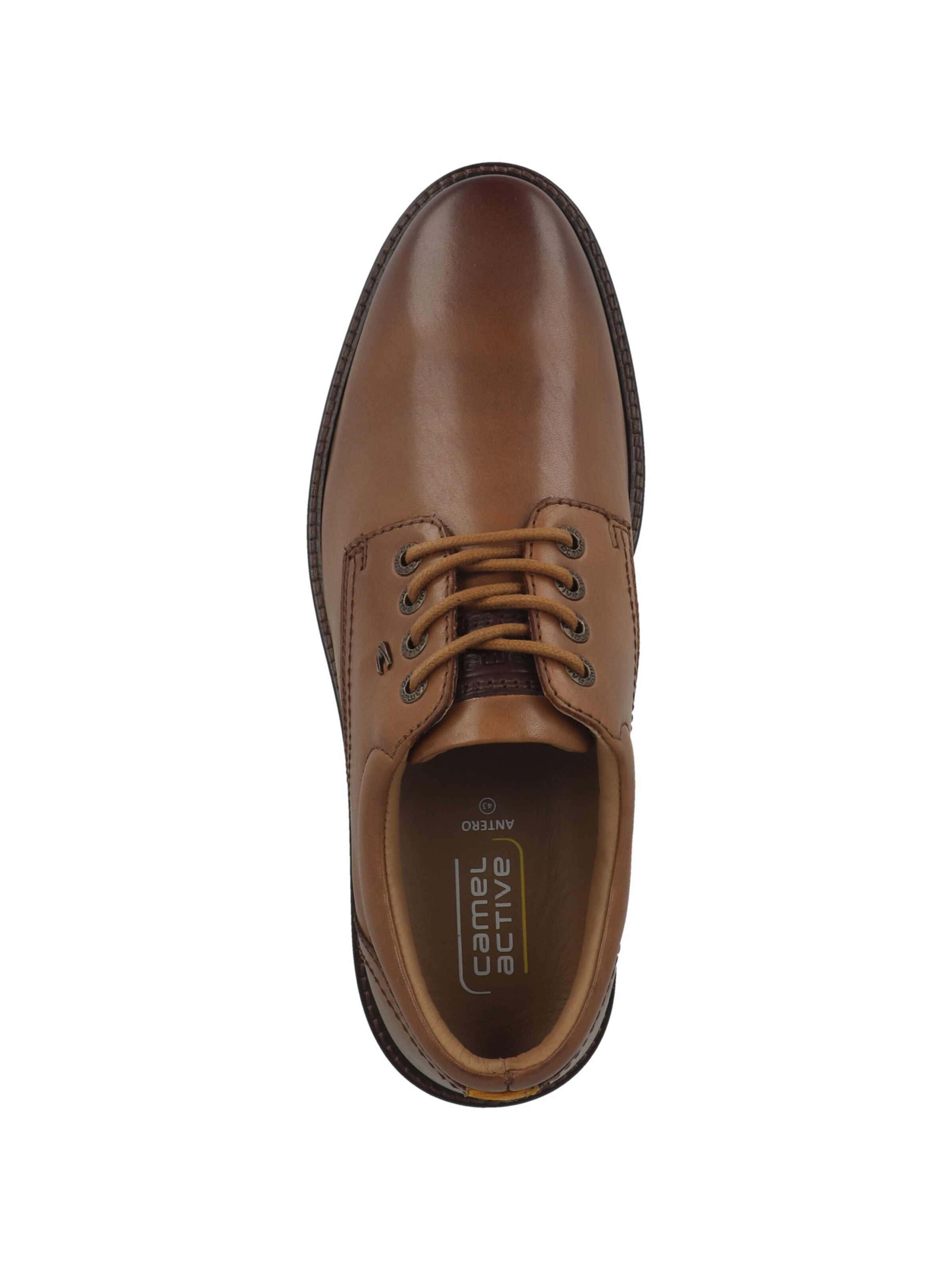 CAMEL ACTIVE Veterschoen '55ATA01' in Bruin