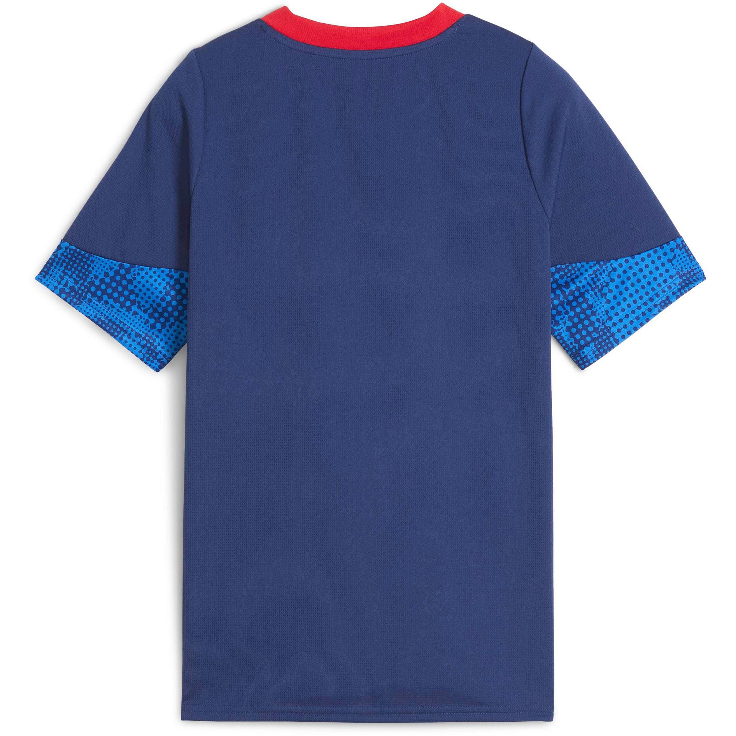 PUMA Funktionsshirt 'RB Leipzig' in Blau