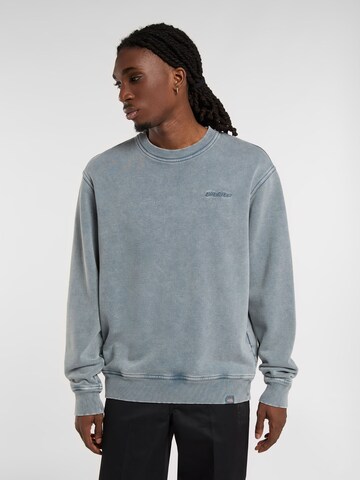 Felpa 'PLENTYWOOD' di DICKIES in grigio: frontale