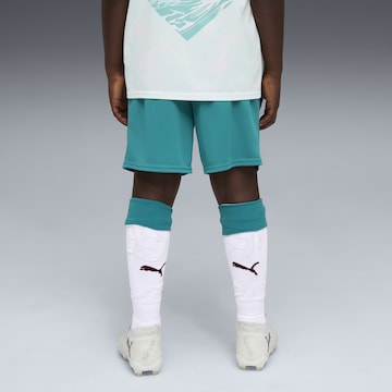 Regular Pantalon de sport 'Portugal 2026' PUMA en vert