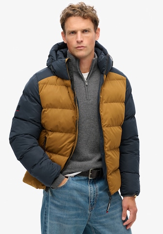 Superdry Winterjas in Bruin