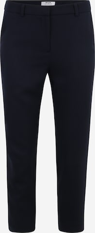 Dorothy Perkins Petite Regular Trousers in Blue: front