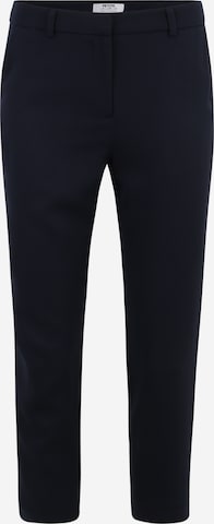 Dorothy Perkins Petite Regular Broek in Blauw: voorkant