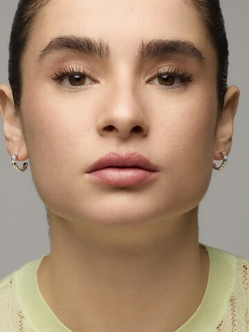 Luxenter Earrings 'Efla' in Silver: front