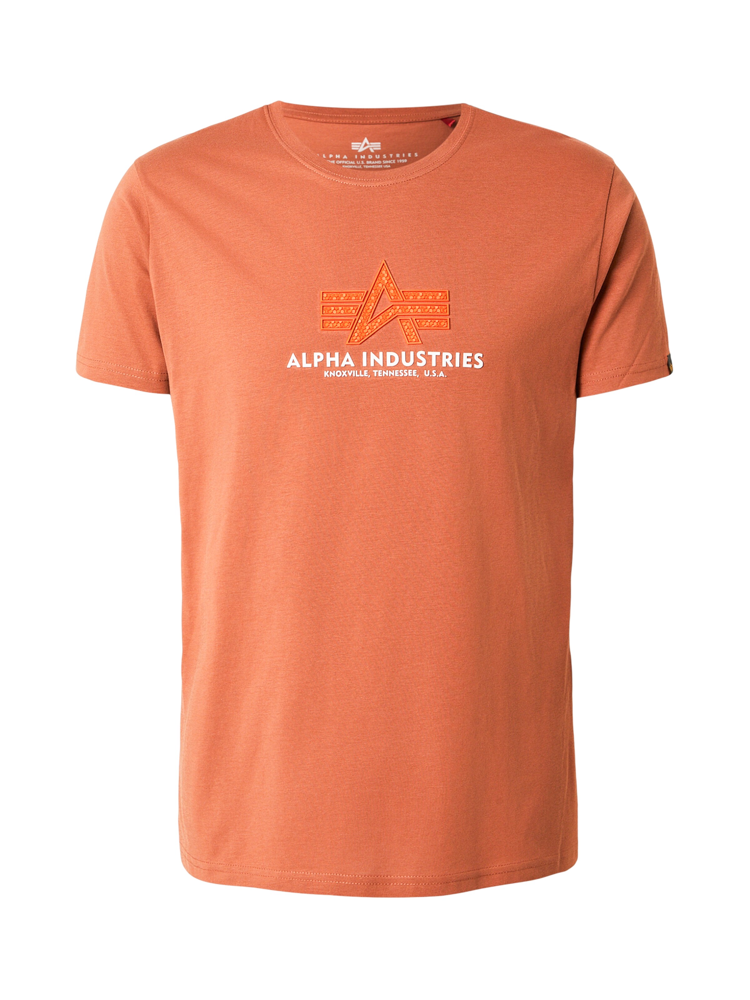 T-Shirt ALPHA INDUSTRIES en marron : devant