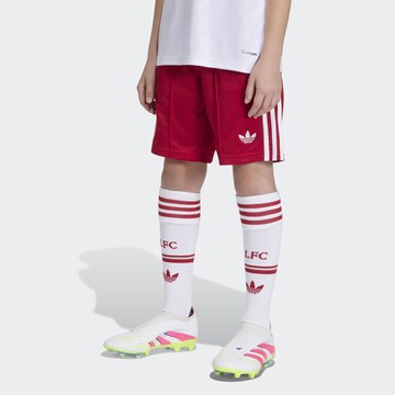 ADIDAS PERFORMANCEregular Sportske hlače 'Liverpool FC 26/27' - crvena boja: prednji dio